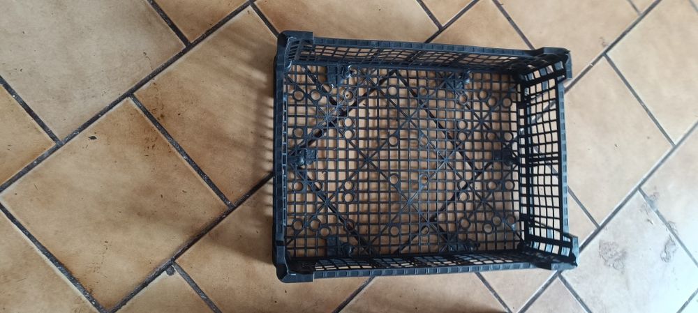 Skrzyneczka do borówki truskawek czeresni