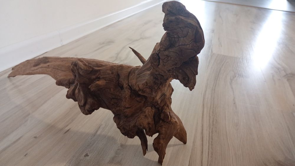 Japoński korzeń akwariowy