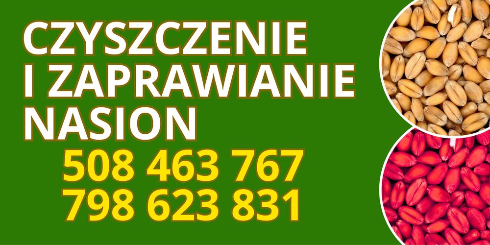 Czyszczenie i zaprawianie zboża (z dojazdem)