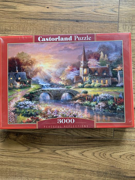 Castorland puzzle пазли 3000