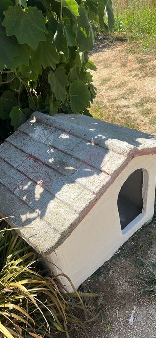 Casota de cão médio