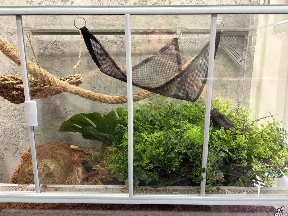 Wyposażone terrarium