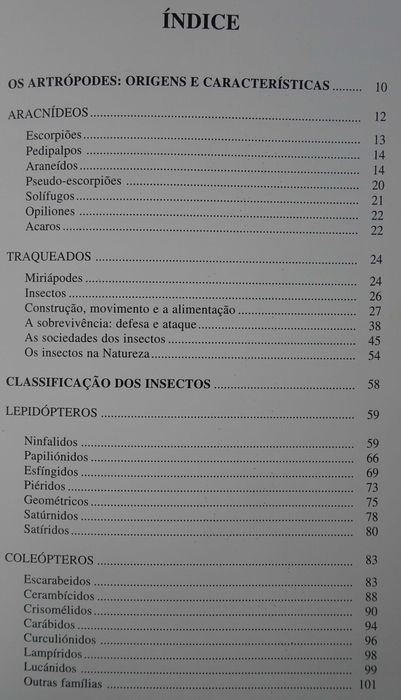 Os Segredos da Natureza - Artrópodes Terrestres