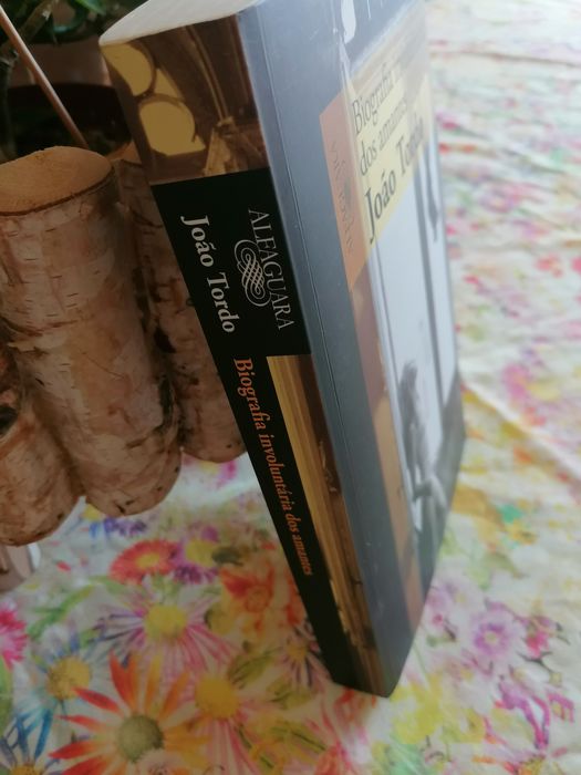 Biografia involuntária dos amantes