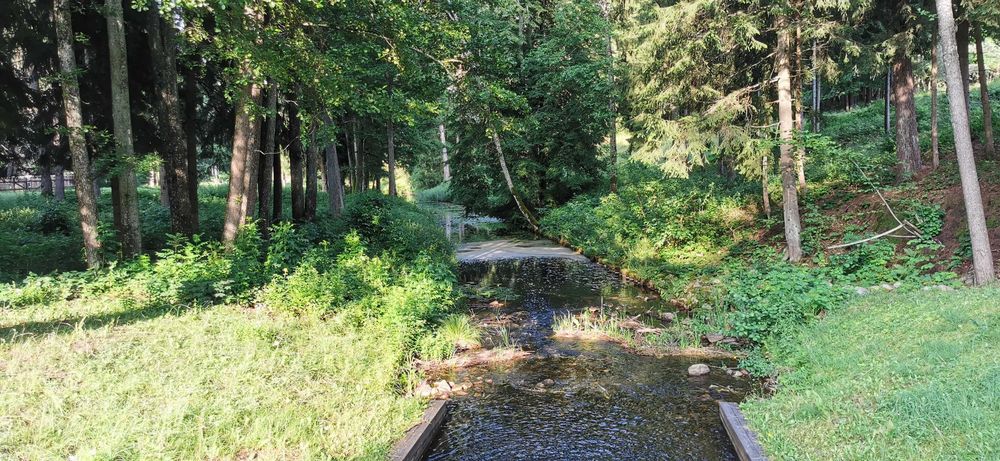 Wynajem quadów, Zelwa, Giby, Sejny