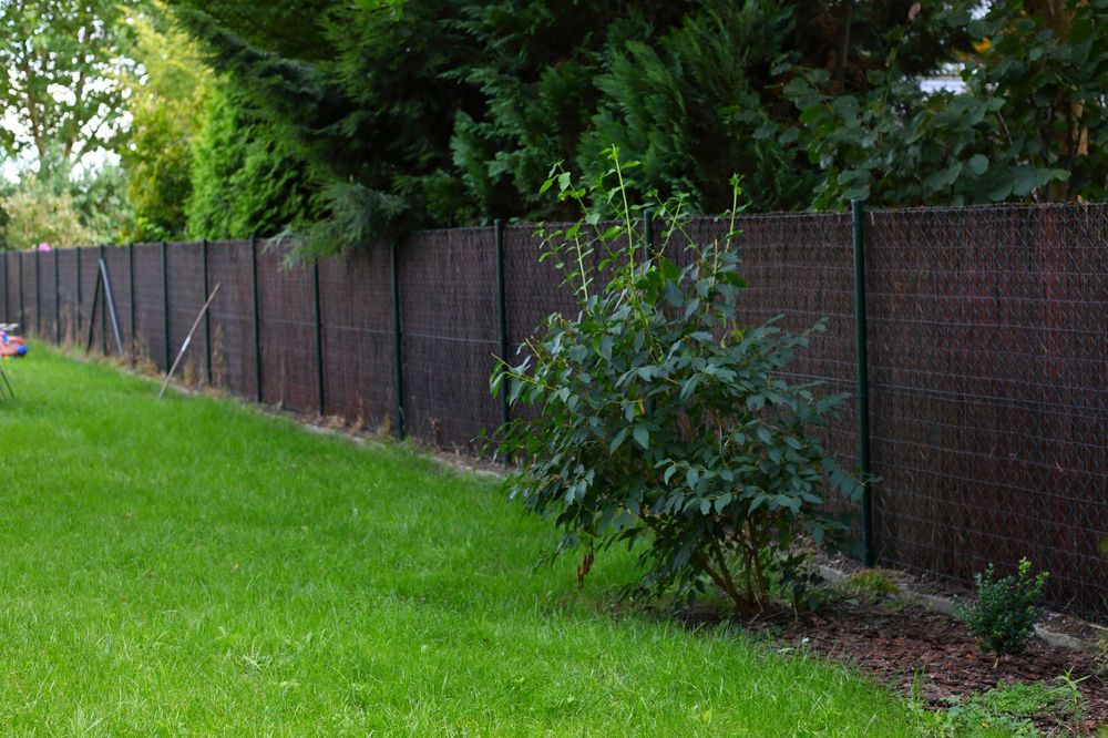 maty wiklinowe mata wiklinowa PARZONA 160cm x 5m wiklina producent