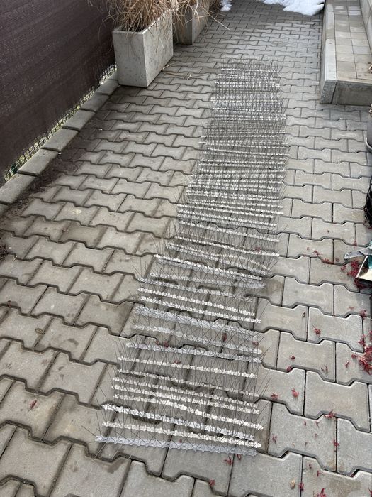 Antyptaki  50cm 75szt kolce na ptaki