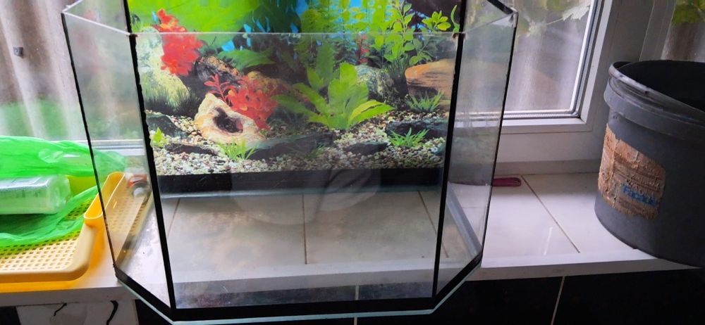 Акваріум на 65 л