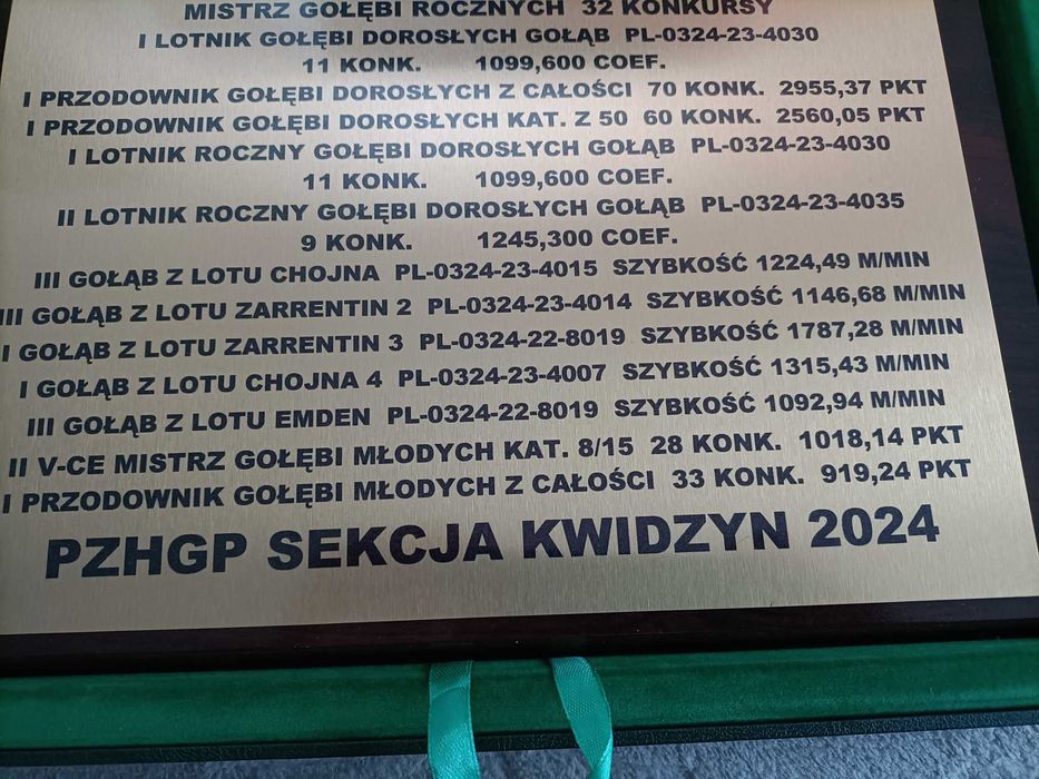 Gołębie pocztowe rozpłodowo - lotowe w każdym wieku