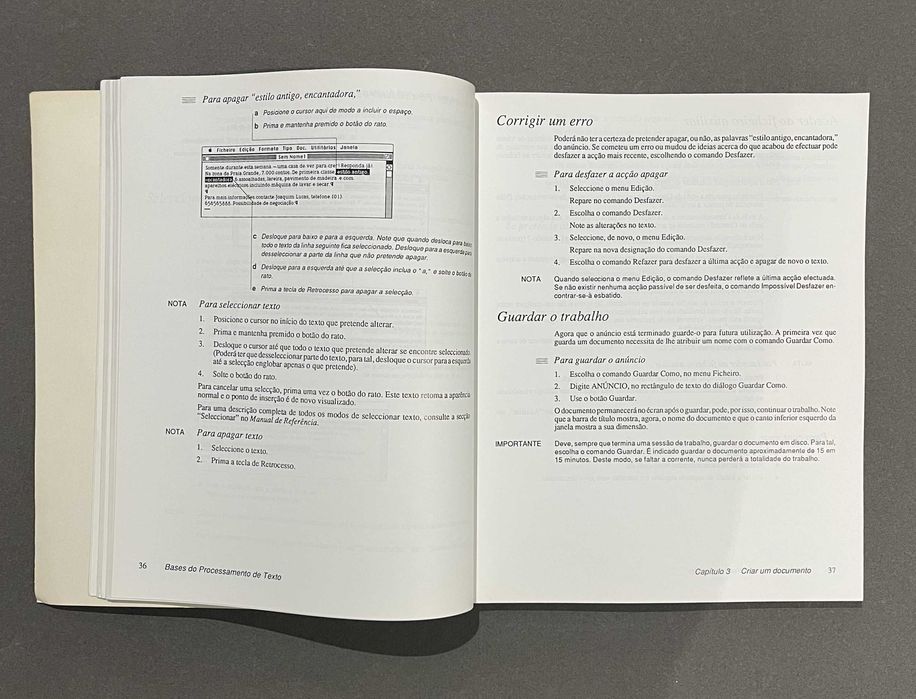 Livro Microsoft Word