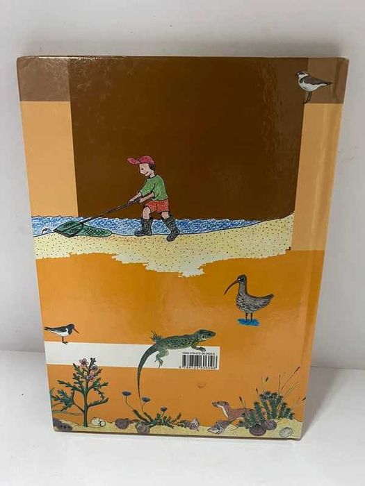 Livro - Descobrir a Praia