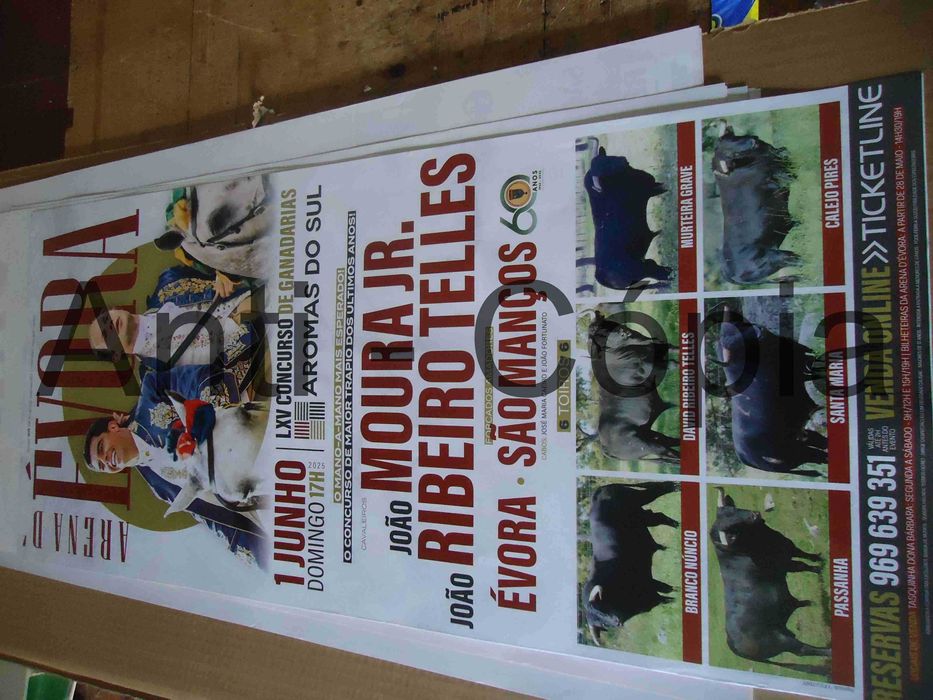 Toiros - Cartazes de Montra 5