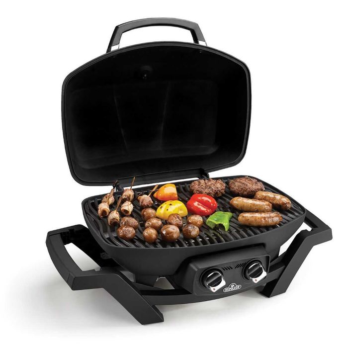 Газовый газовий гриль Napoleon TravelQ PRO-285 Weber Q портативний портативный ререносной переносний для кемпинга 2 горелки пальники чугунная решетка