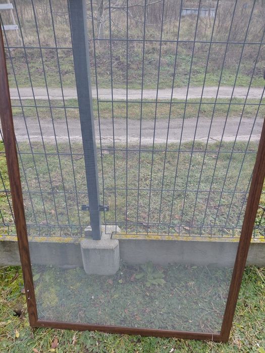 Moskietera balkonowa