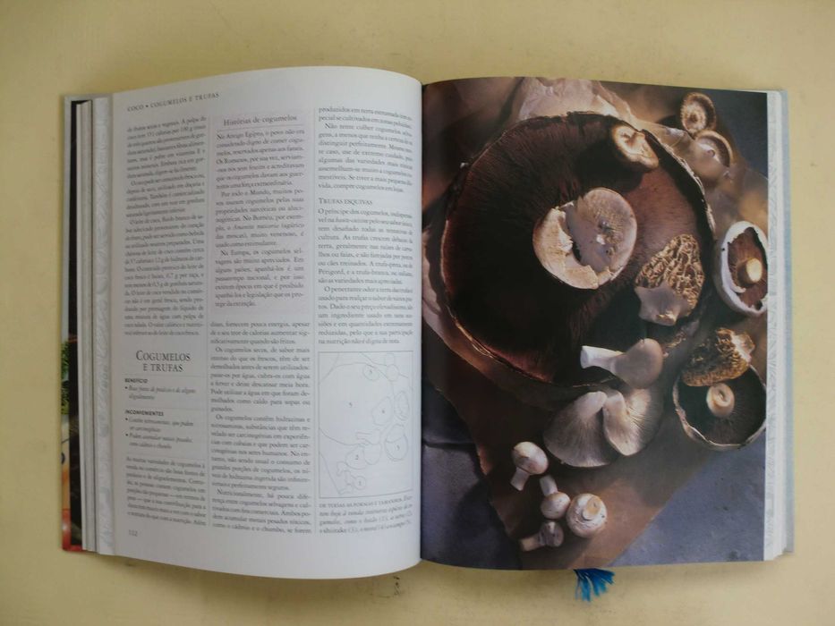 Alimentos Bons, Alimentos Perigosos