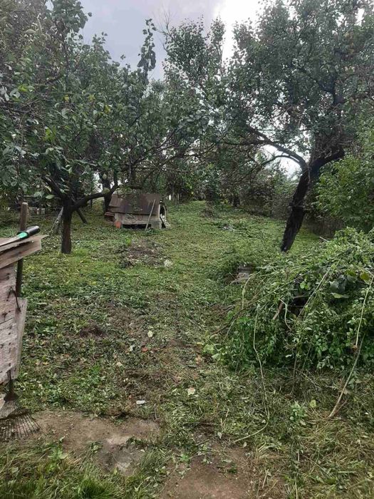 Будинок у селі Холмовець, Берегівський район, Закарпатська область