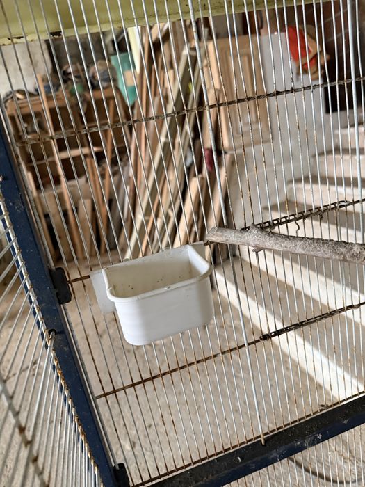 Gaiola para passaros grande