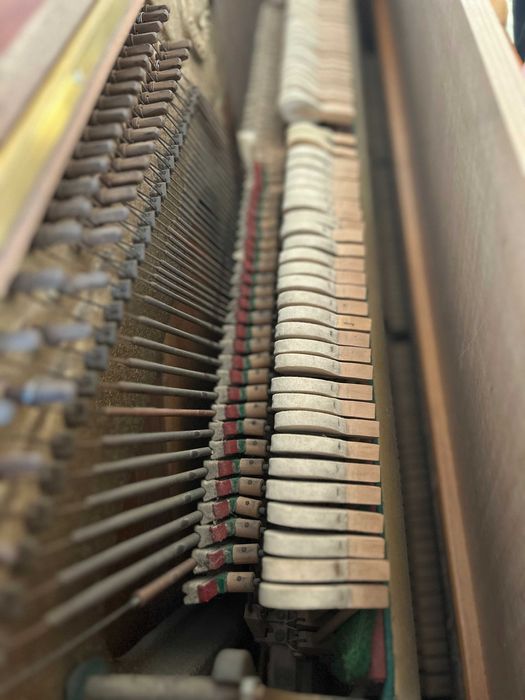 Pianino Calisia Menuet 105