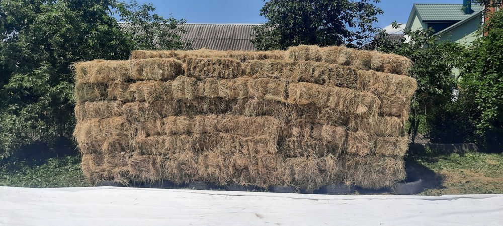 Сіно,' ⁸ у тюках 2025 року. 80 гр Приймаю замовлення на люцерню  .