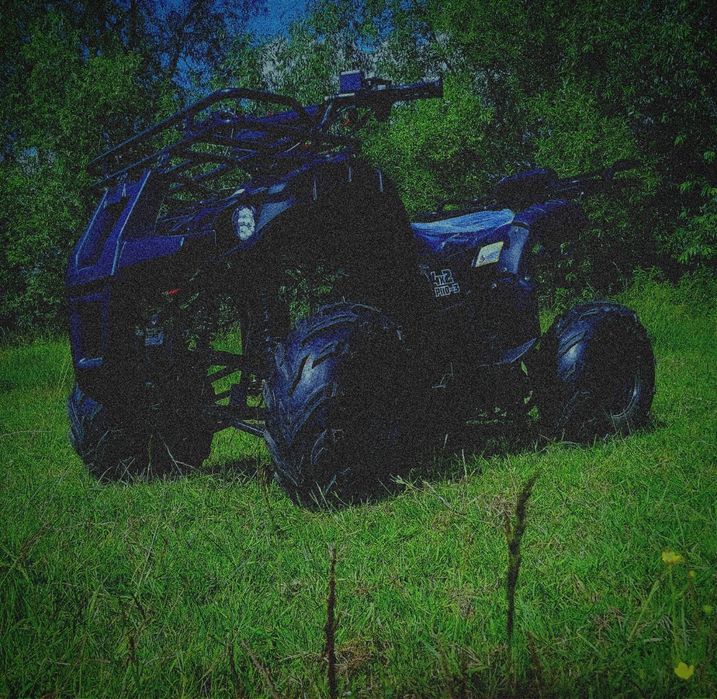 Квадроцикл Spark 4x2 sp110