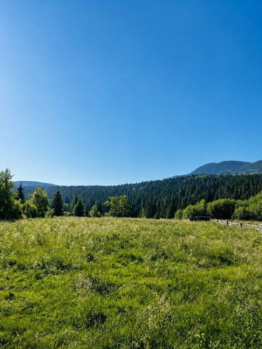 10 соток біля підніжжя Говерли | КПП Заросляк