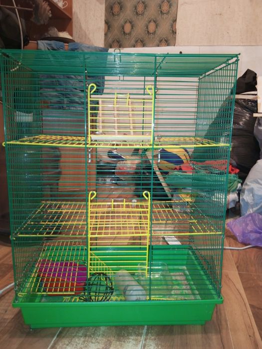 Клітка для гризунів