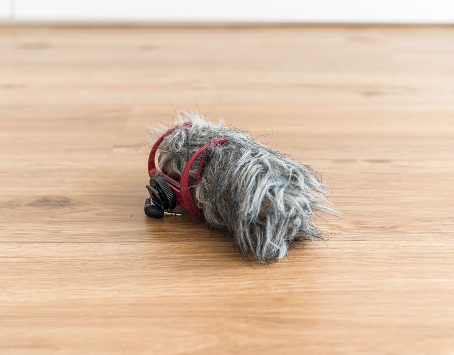 Rode videomic go + deadcat