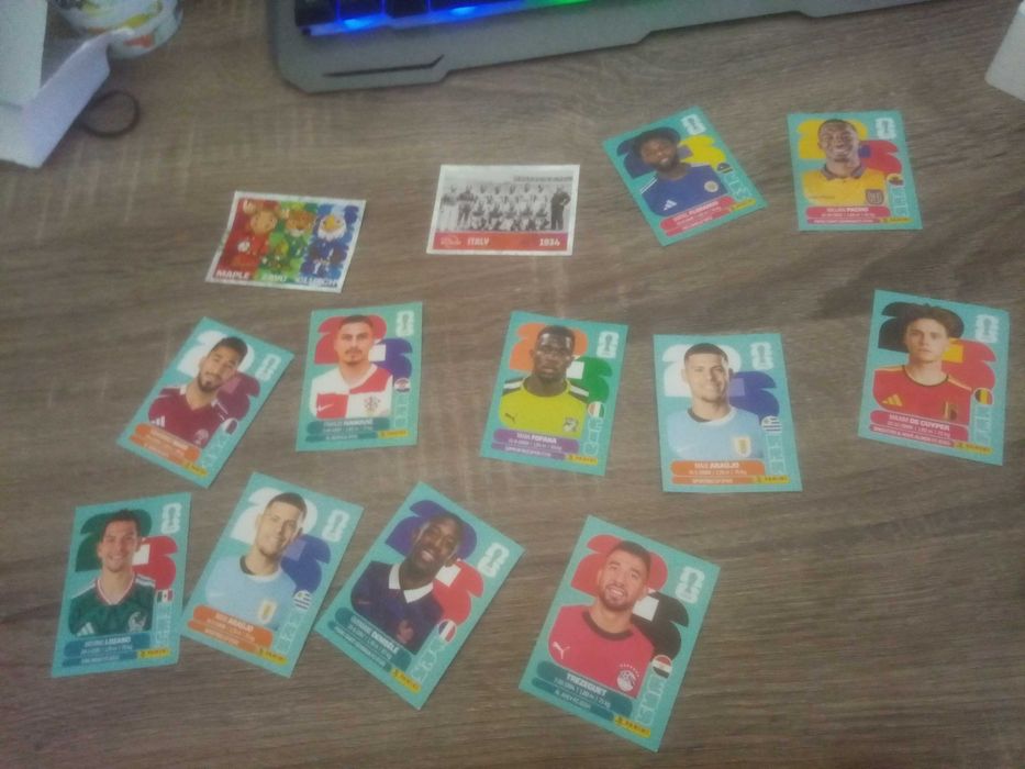 Cromos Repetidos do Mundial
