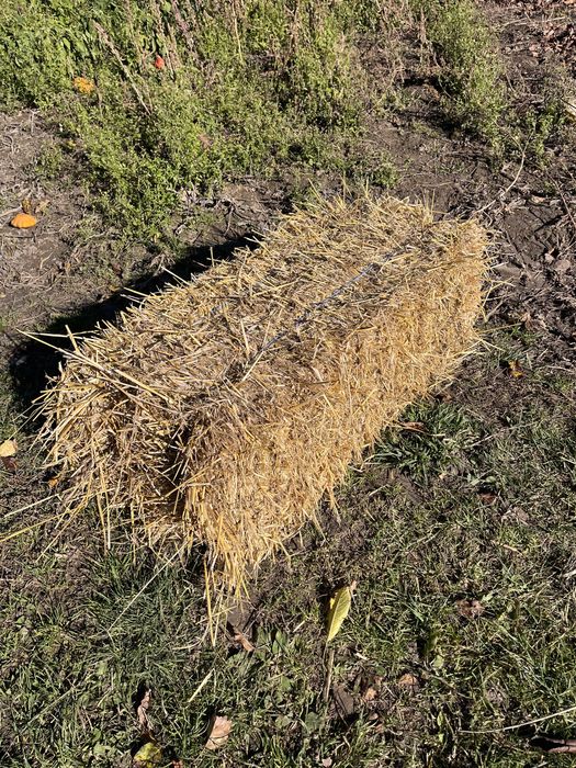 Продам тюки , сіно-солома