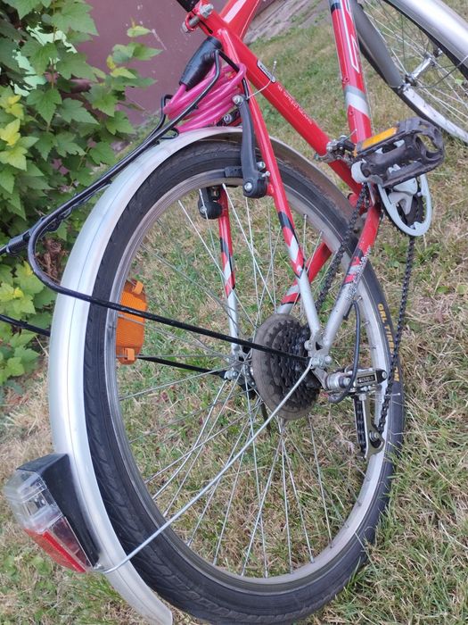 Rower Tornado Hilly 24"
