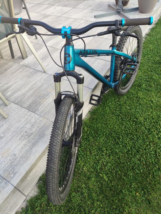 Kellys Whip 50(dirt)
