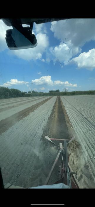 Sadzenie drzewek zakładanie plantacji GPS rtk Borowka Borówki jabłonie