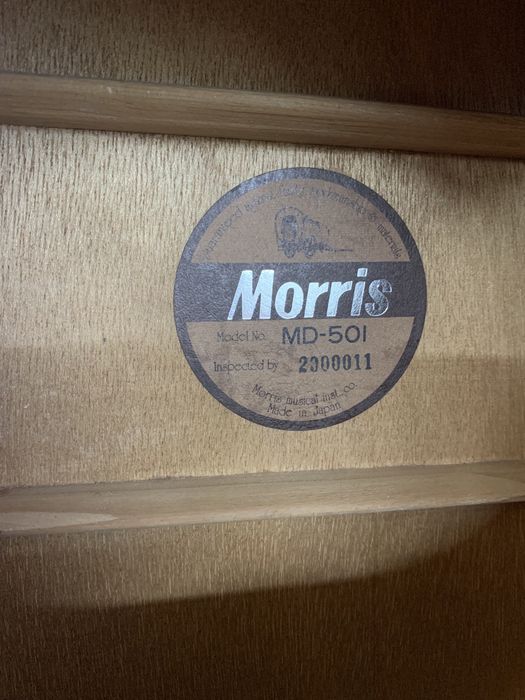 Акустична гітара Morris MD-501 (Japan)