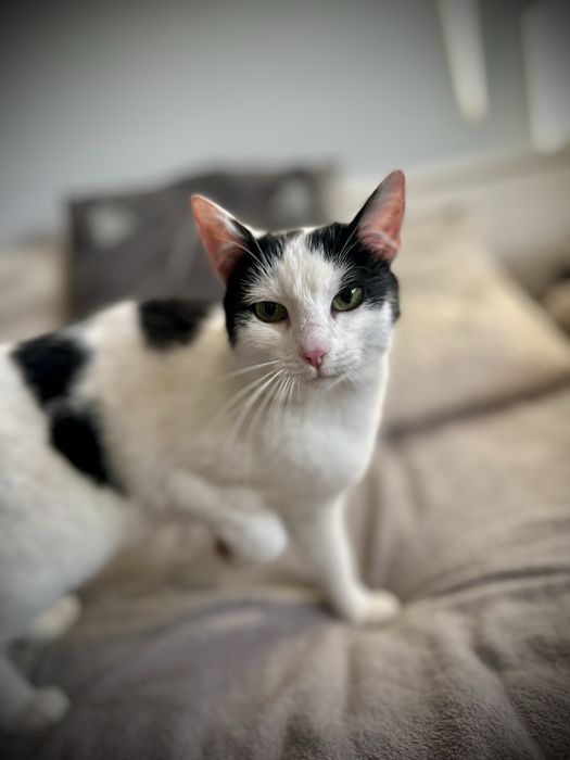 Bydgoszcz/ Cześć. Jestem Tobi…