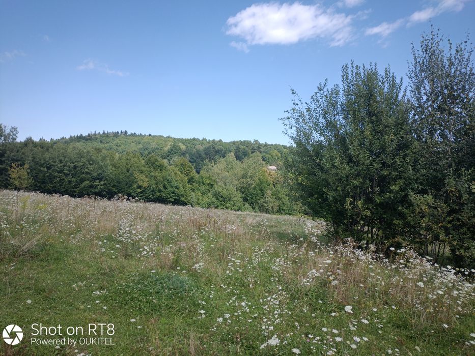 продам земельну ділянку площею 0,1400 га с. Вербовець