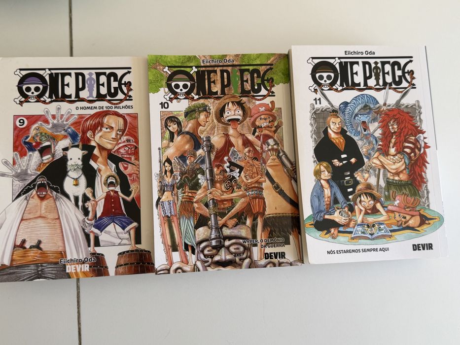 Livros e bau de one piece