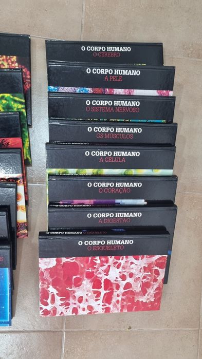 Coleção corpo humano