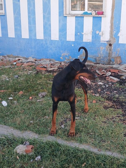SKAY linda maravilhosa
