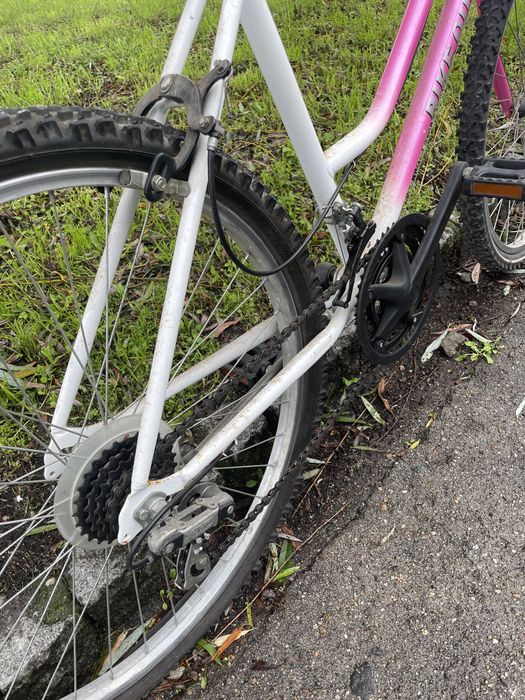 Bicicleta para adulto