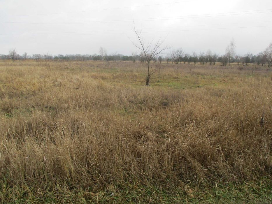 Продаж земельної ділянки 21 сот. Київська обл., с.Жукин      8500$