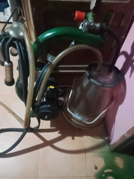 EFACEEC máquina profissional de leite
