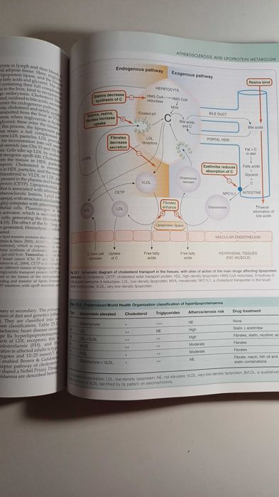 Rang & Dale's Pharmacology