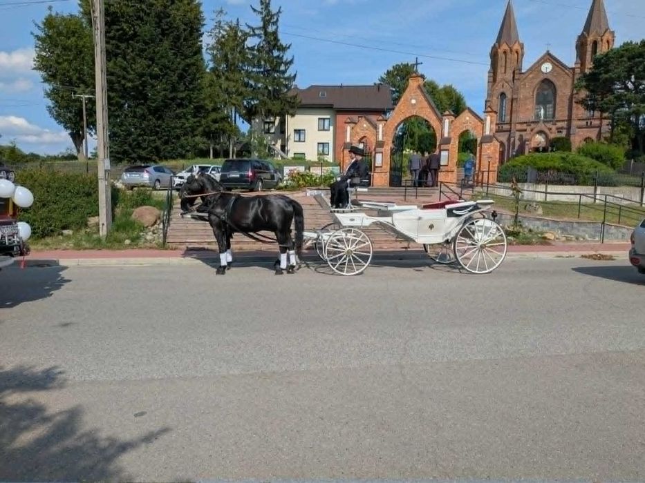 *** Bryczką do ślubu ***