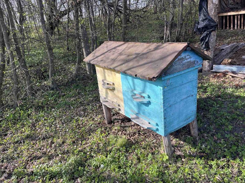 Вулики на українську рамку