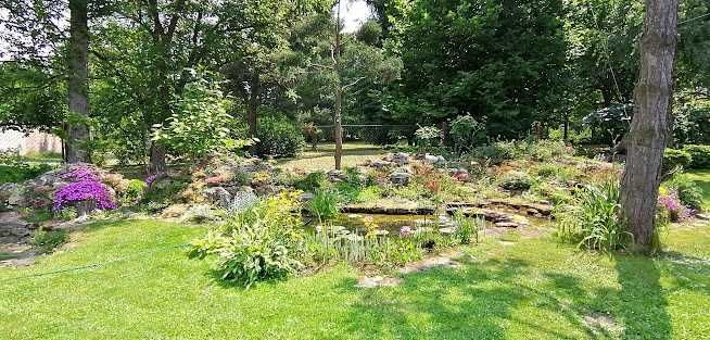 Ogród skalny duży - całość.