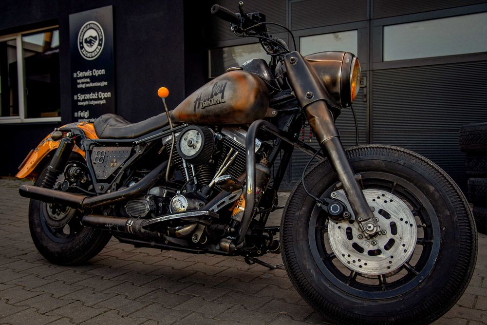 Harley-Davidson Custom, Evo, Electra, King, Dyna