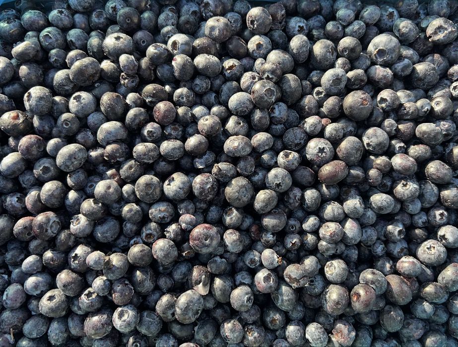 Maliny mrożone. Dostawa / WYSYŁKA