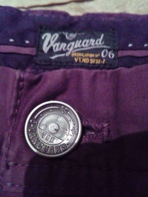 Брендовые брюки чиносы джинсы стрейчевые узкачи Lion Vanguard Michigan