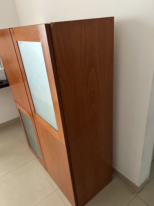 Movel com portas e prateleiras em Faia