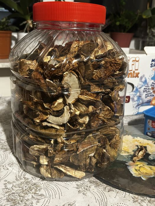 Grzyby prawdziwki kapelusze